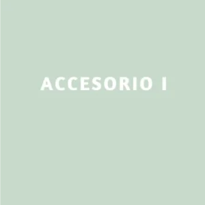 ACCESORIO I