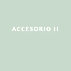ACCESORIO II